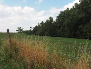 Kwaremont (Belgium)